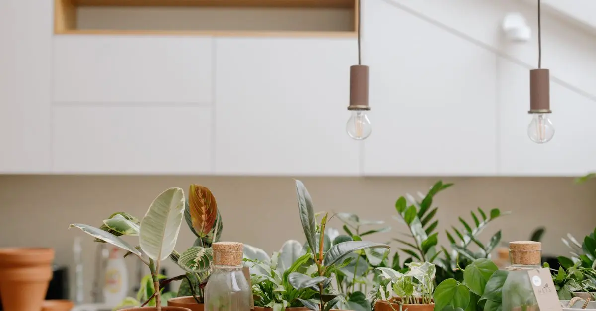 Exploring the Latest Trends in Sustainable Lighting
