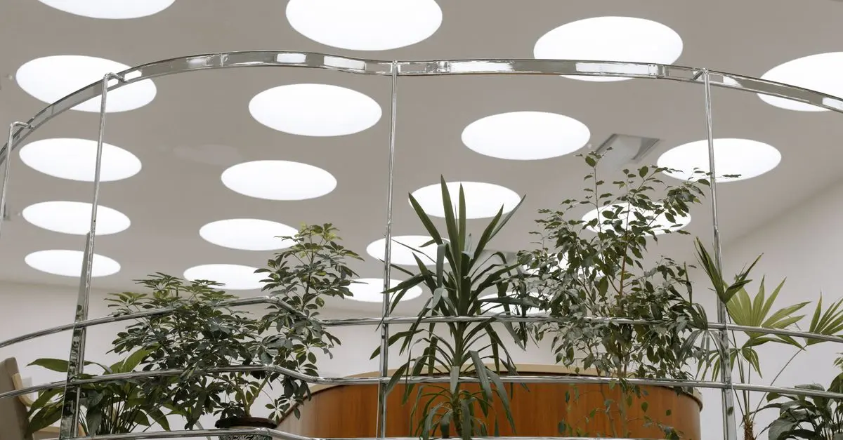 10 Essential Tips for Choosing Eco-Friendly Lighting