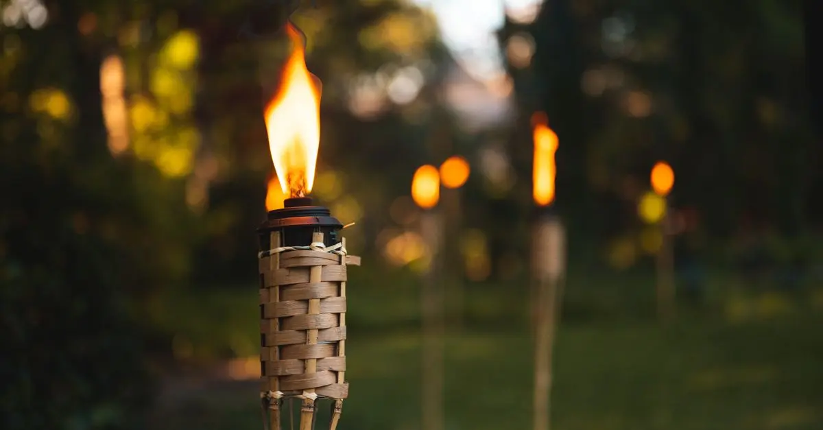 10 conseils pour éclairer votre jardin de manière harmonieuse