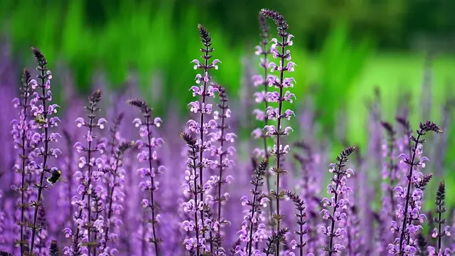Comment choisir le bon éclairage pour votre jardin