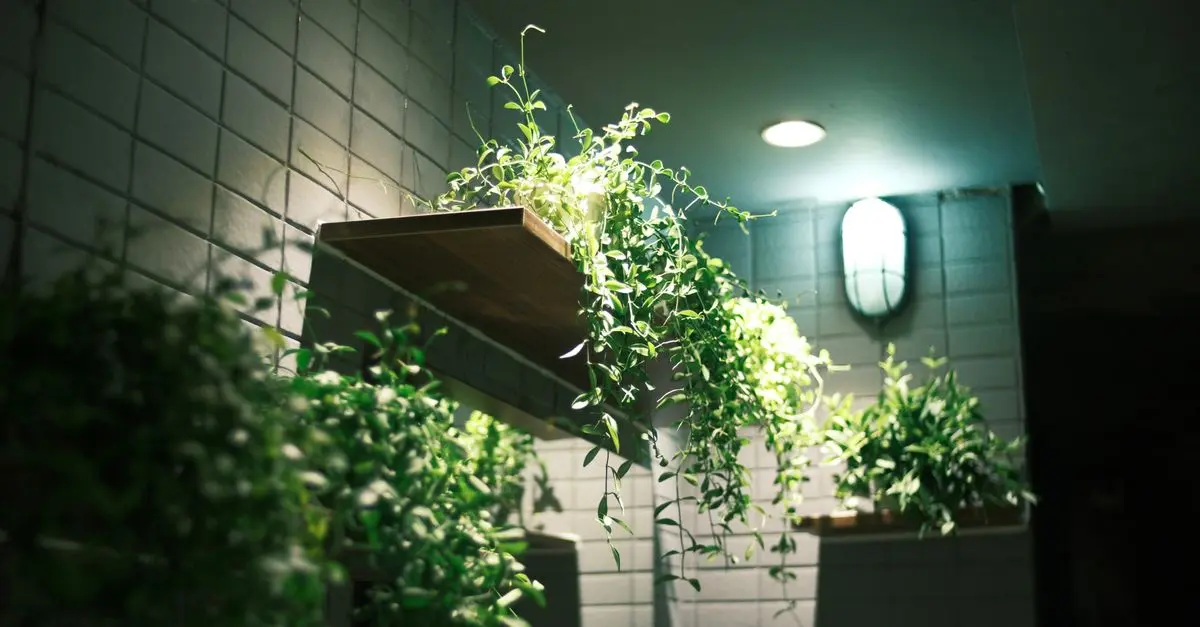 Comment choisir l'éclairage idéal pour vos espaces extérieurs