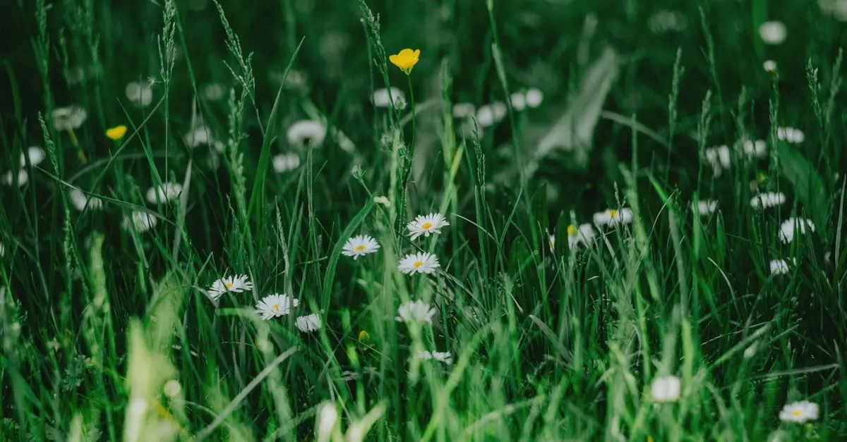 Top Tips for Choosing Eco-Friendly Lighting Solutions
