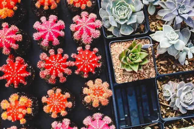 Maximising Your Garden Lighting for Year-Round Ambiance