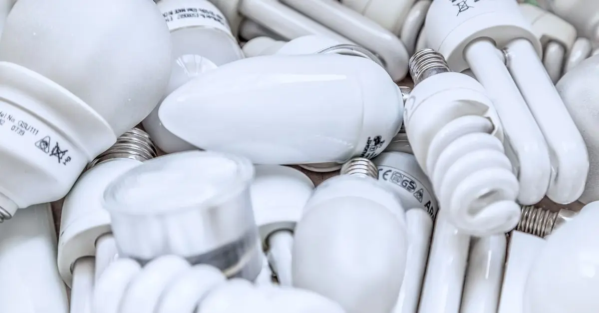 Eco-Friendly Lighting: Top Sustainable Choices