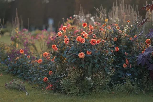 How to Choose the Right Lighting for Your Outdoor Space