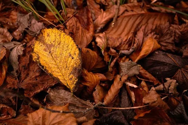 Comment choisir l'éclairage parfait pour chaque saison