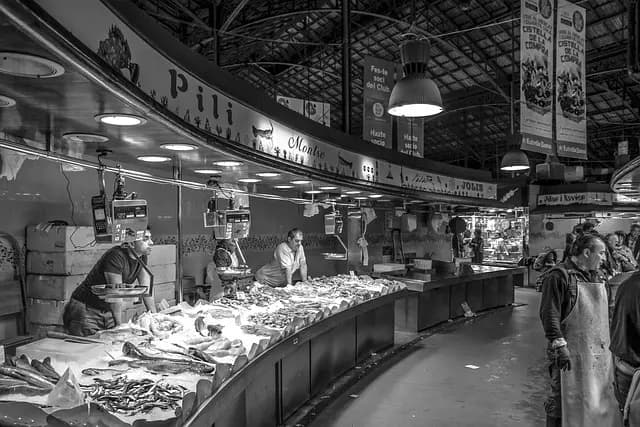 Top 10 Tips for Choosing the Right Indoor Lighting