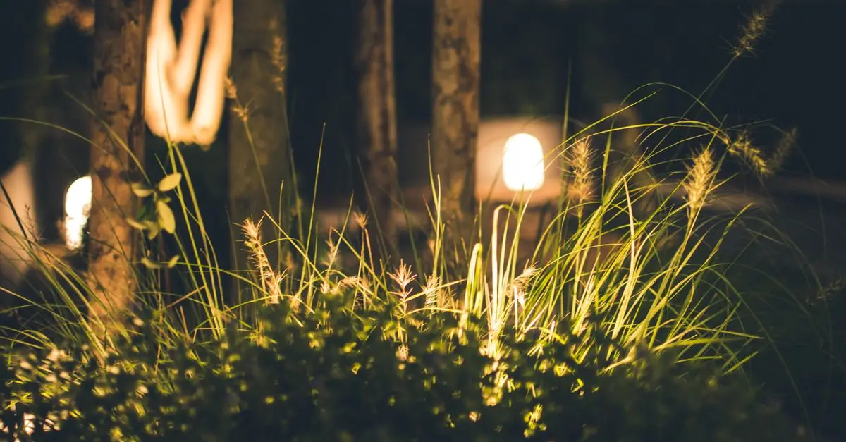 Les Meilleures Pratiques pour Éclairer Votre Jardin