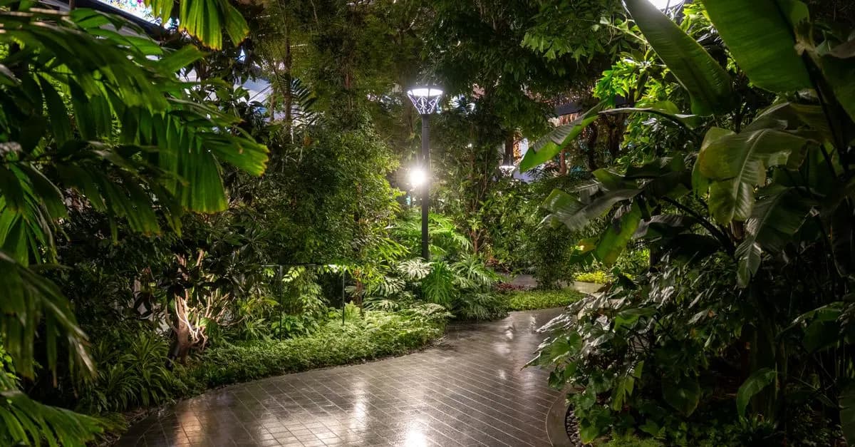 Top 10 des Astuces pour Choisir l'Éclairage de Votre Jardin