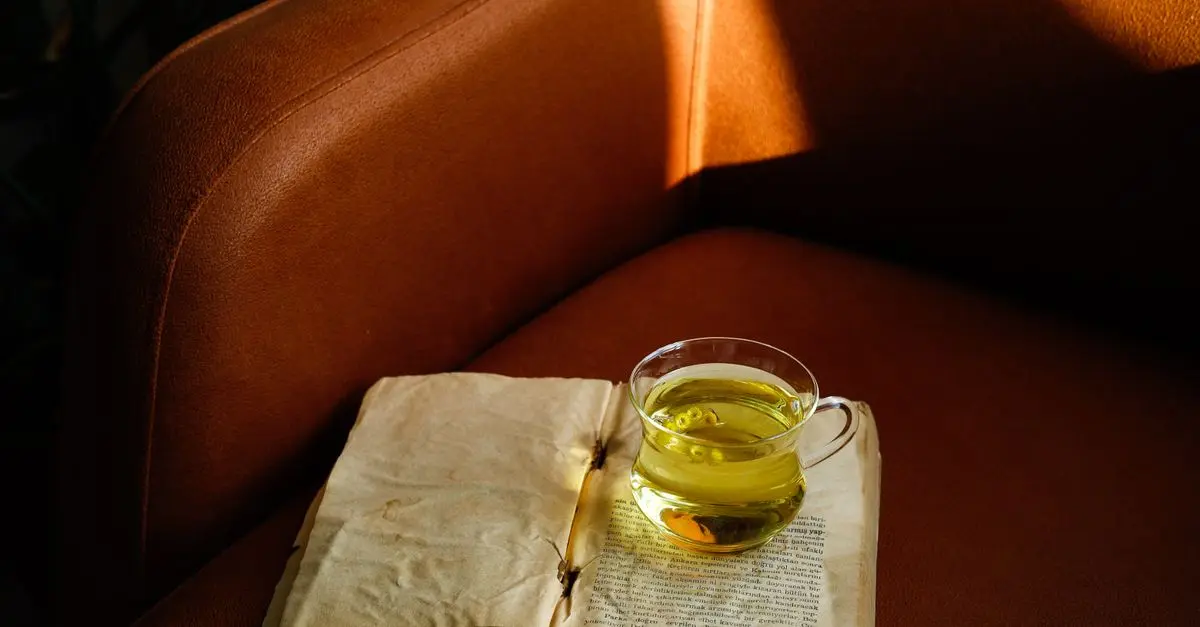 How to Create the Perfect Reading Nook with Lighting