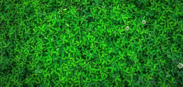 Les 10 Meilleurs Éclairages Écologiques pour Votre Maison
