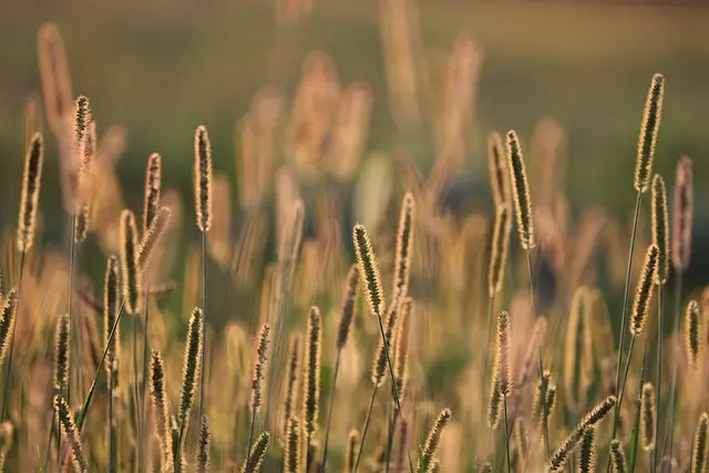 Les meilleures pratiques pour un éclairage de jardin réussi