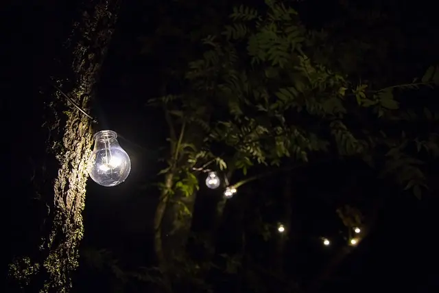 Light Fixture Comparisons: Choosing Between LED and Halogen