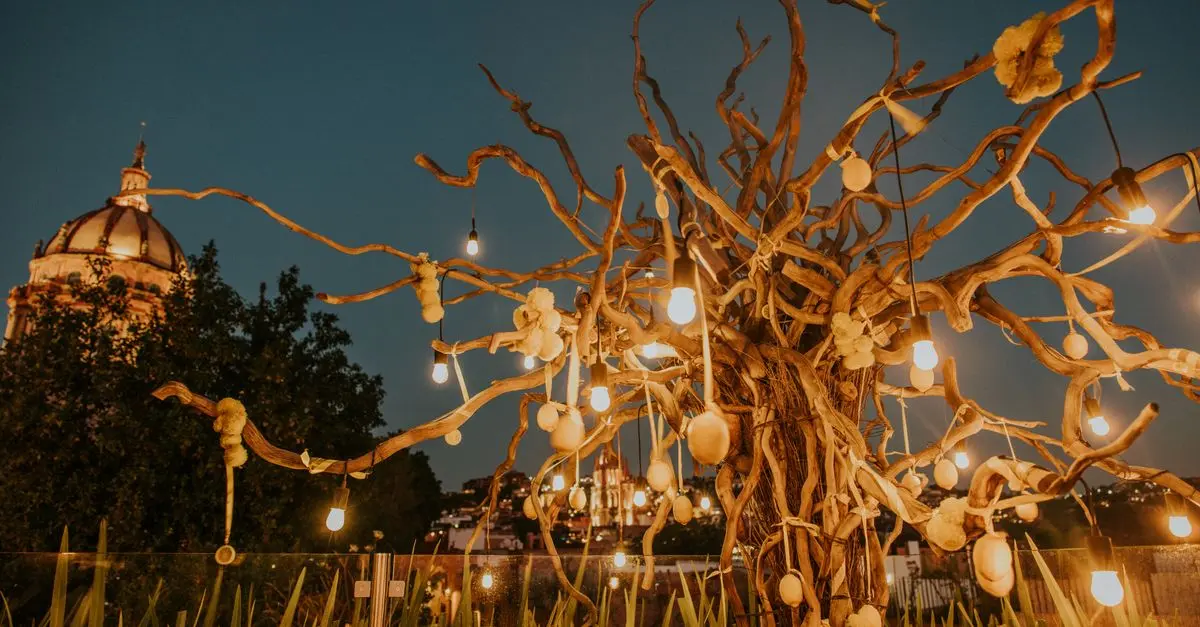 Top 10 Outdoor Lighting Ideas to Transform Your Garden