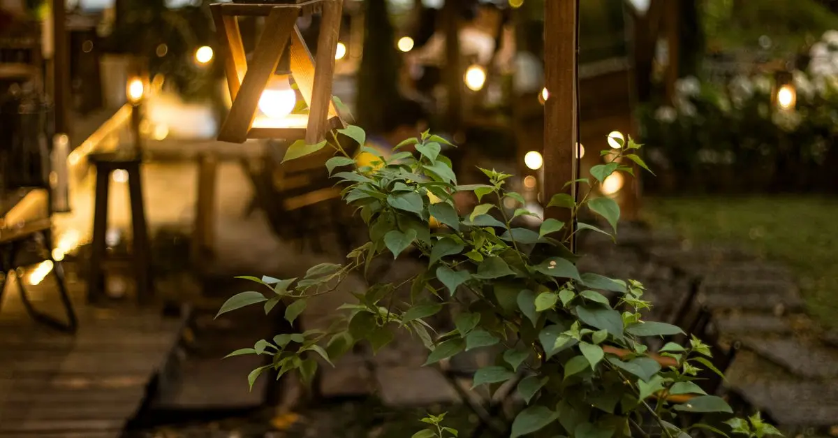 10 Astuces pour Choisir l'Éclairage Parfait pour Votre Jardin