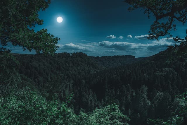 Optimising Your Garden Lighting for Year-Round Ambiance